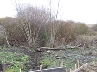 Фото 4 Фото 4