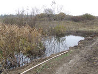 Фото 5 Фото 5