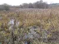 Фото 6 Фото 6