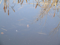 Фото 7 Фото 7